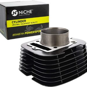 NICHE Engine Cylinder for 1993-2012 Yamaha Big Bear Kodiak 400 4GB-11310-00-00 5FU-11310-01-00